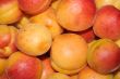ripe apricot