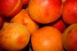 ripe apricot