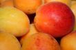 ripe apricot