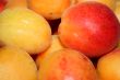 ripe apricot