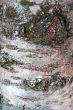 pattern and texture