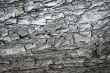 pattern and texture