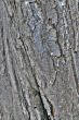 pattern and texture