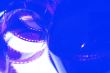 photographic film
