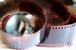colour photographic film