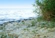sea beach