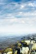 sea beach