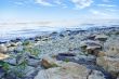 sea beach