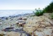 sea beach