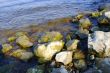 sea beach