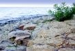 sea beach
