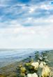 sea beach