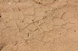Old traces