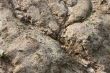 Soil erosion