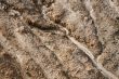 Soil erosion