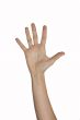 Counting fingers
