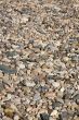 Stony surface