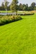 Green lawn with table