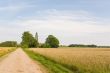 Crop field and house