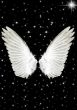 Angel wings