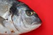 sea bream