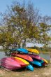 Colorful Canoe Boats