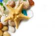 Sea shells collection