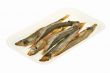 Capelin