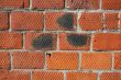Brick wall