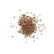 cumin isolated