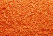 orange lentil background