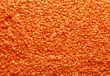 orange lentil background