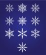 Beautiful snowflakes