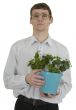 Man in spectacles with window plant
