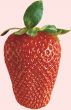 A strawberry