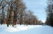 Aqueduct with trees in winter