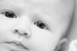 Baby face portrait
