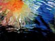 Reflection in water