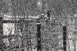 posts in the snow