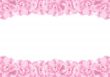 Flowers frame