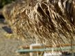 Straw umbrella