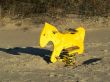 Lonely horse on the beach