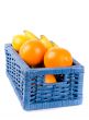 basket with fruits