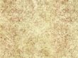 paper