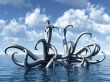 octopus