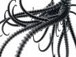 tentacles