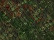 abstract colorful background