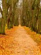 yellow alley