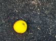 apple at asphalt