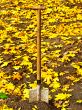 shovel in ground